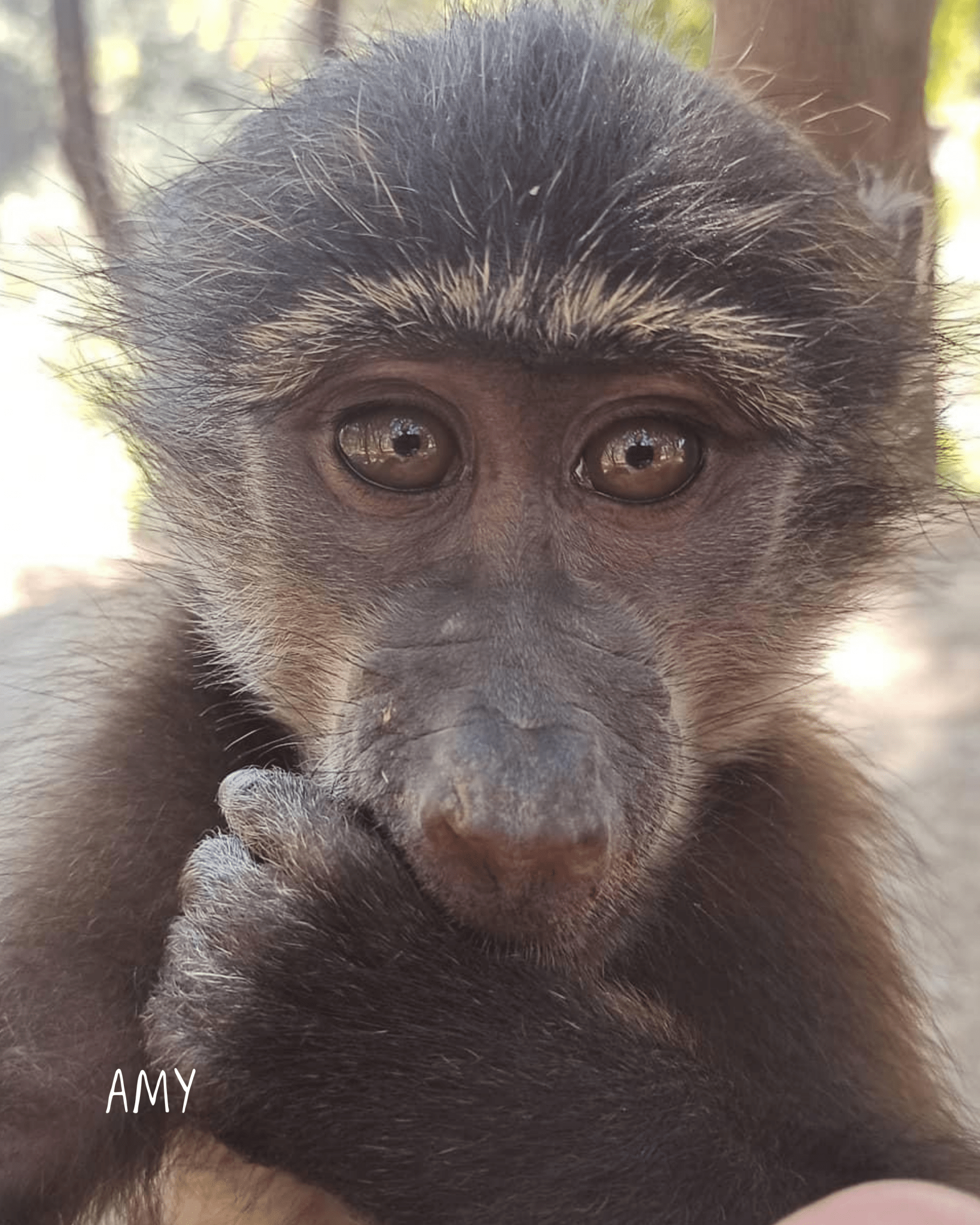 Amys Perlen Ring Nella & Sina