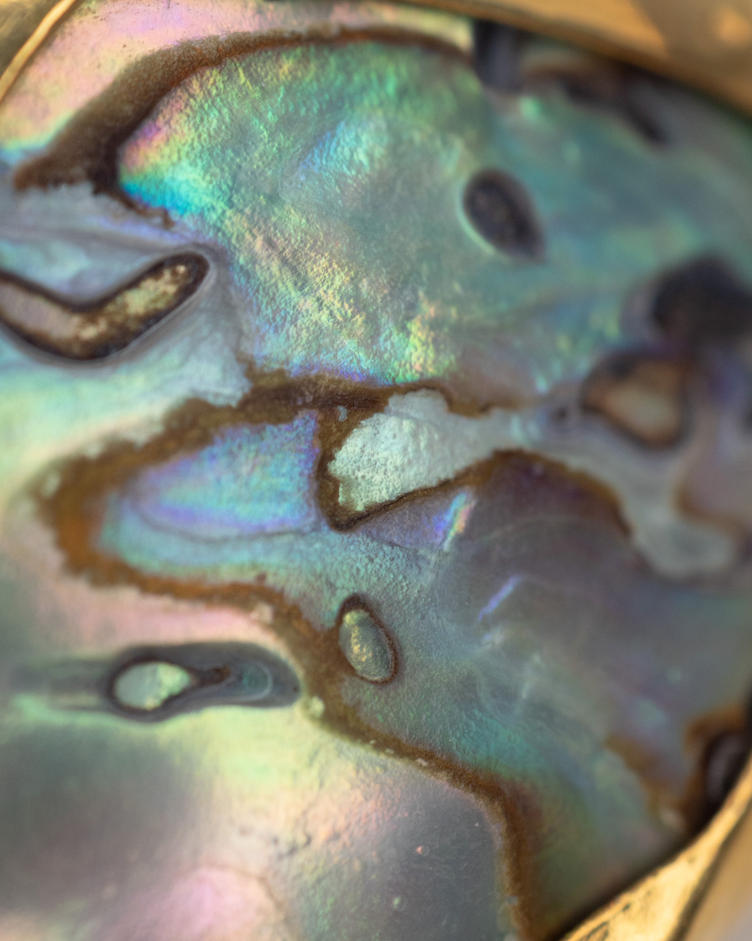 Iridesca Earcuff Nella & Sina