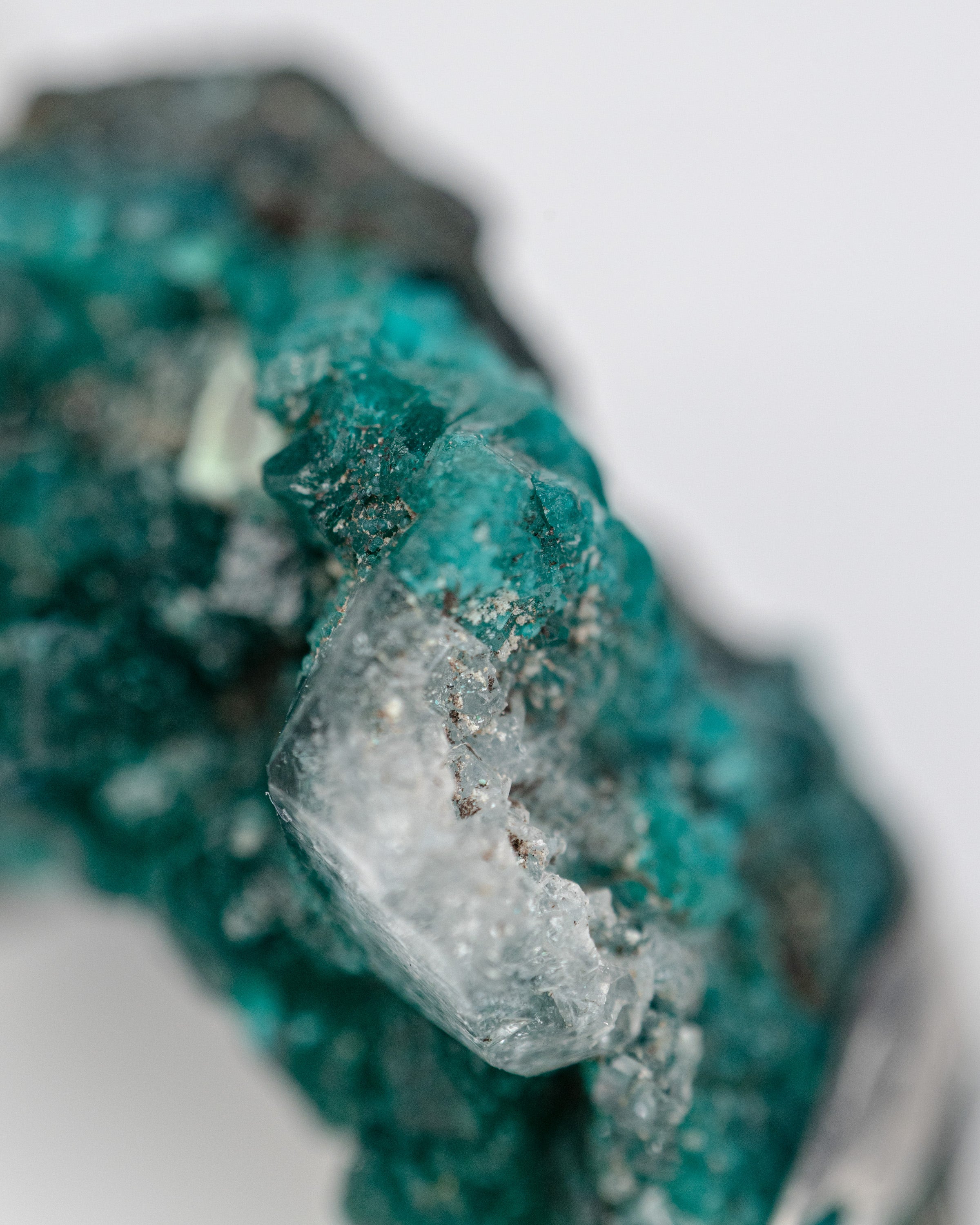 Valverde Earcuff Nella & Sina